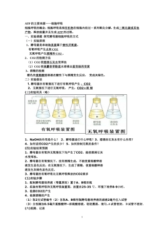 光合作用和呼吸作用知识点总结