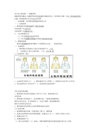 光合作用和呼吸作用知识点总结[1]
