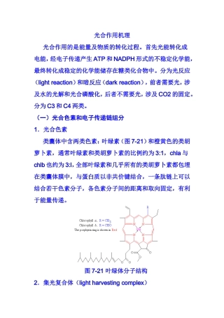 光合作用机理