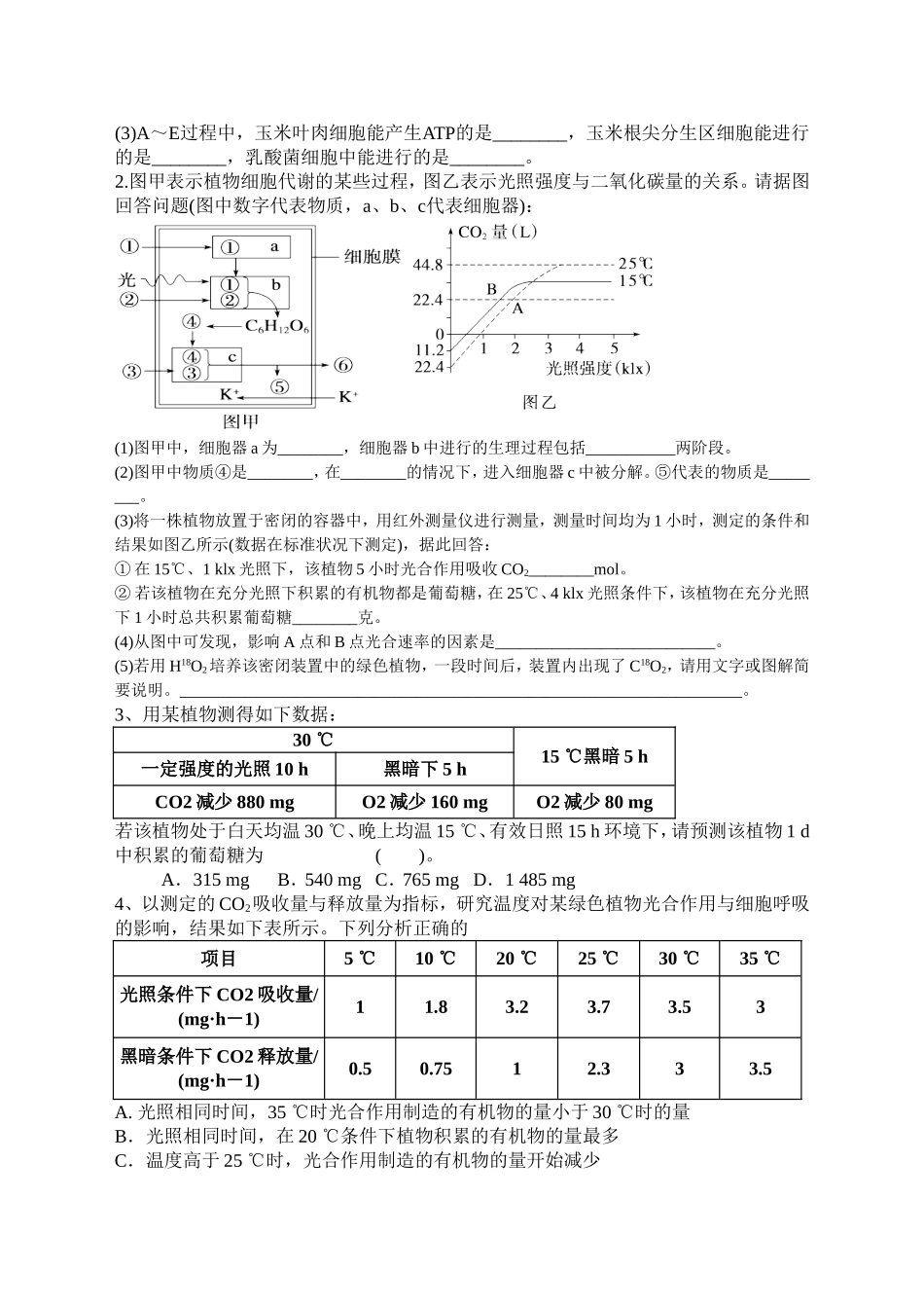 光合作用专题复习----典型题例_第2页
