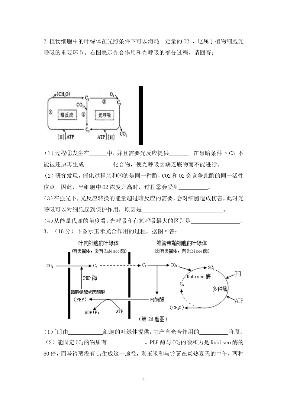 光呼吸及C4与C3植物试题强化_第2页