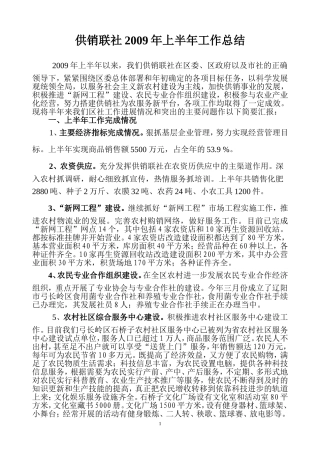 供销联社2009年上半年工作总结(改后)