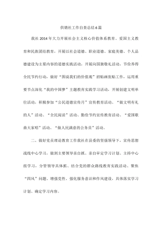 供销社工作自查总结6篇