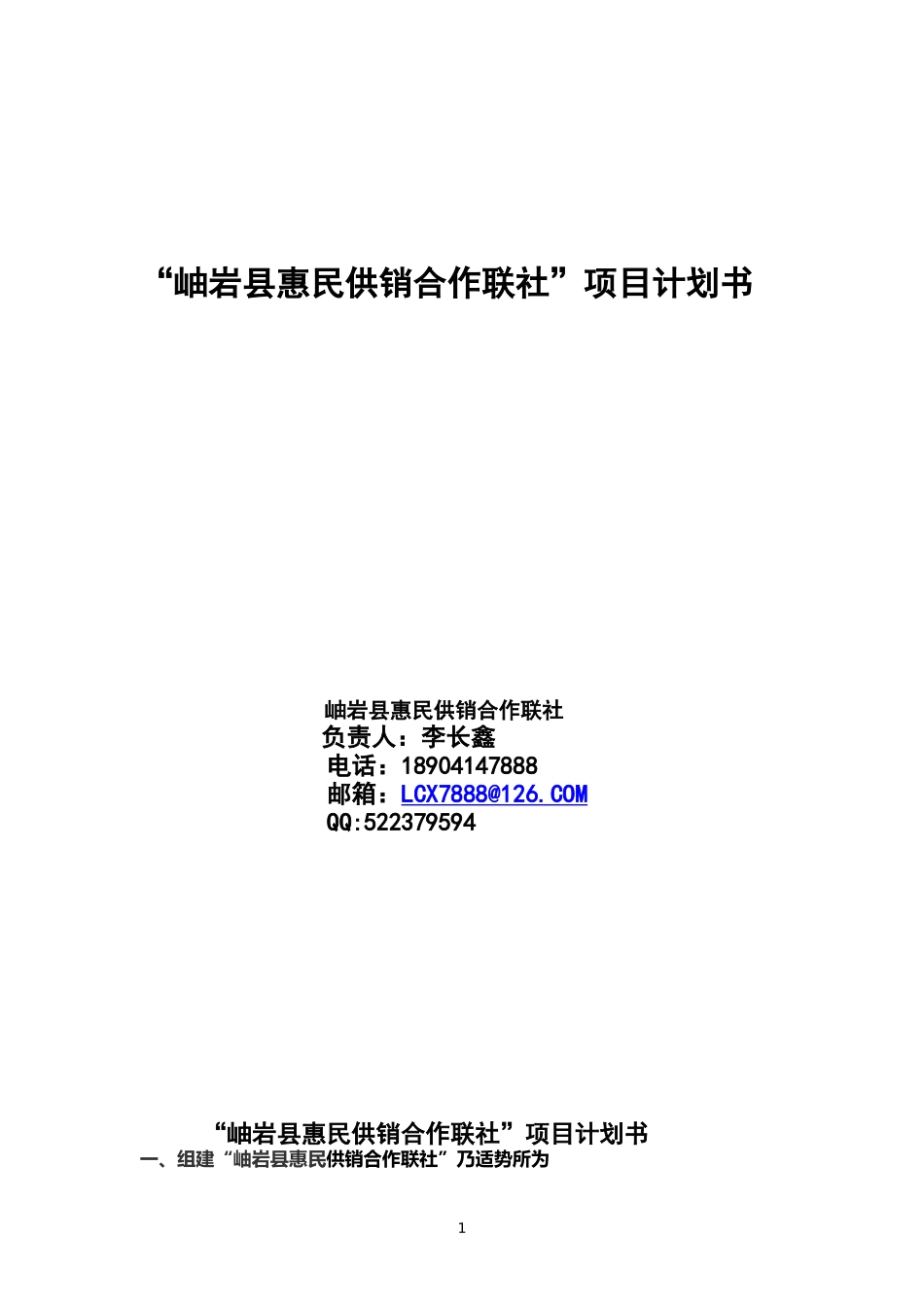 供销社项目计划书_第1页