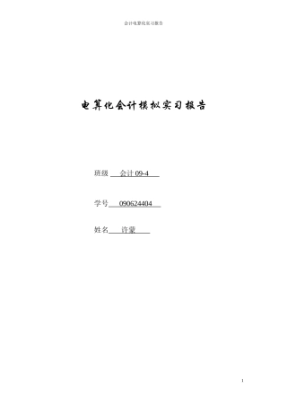 会计电算化实习报告