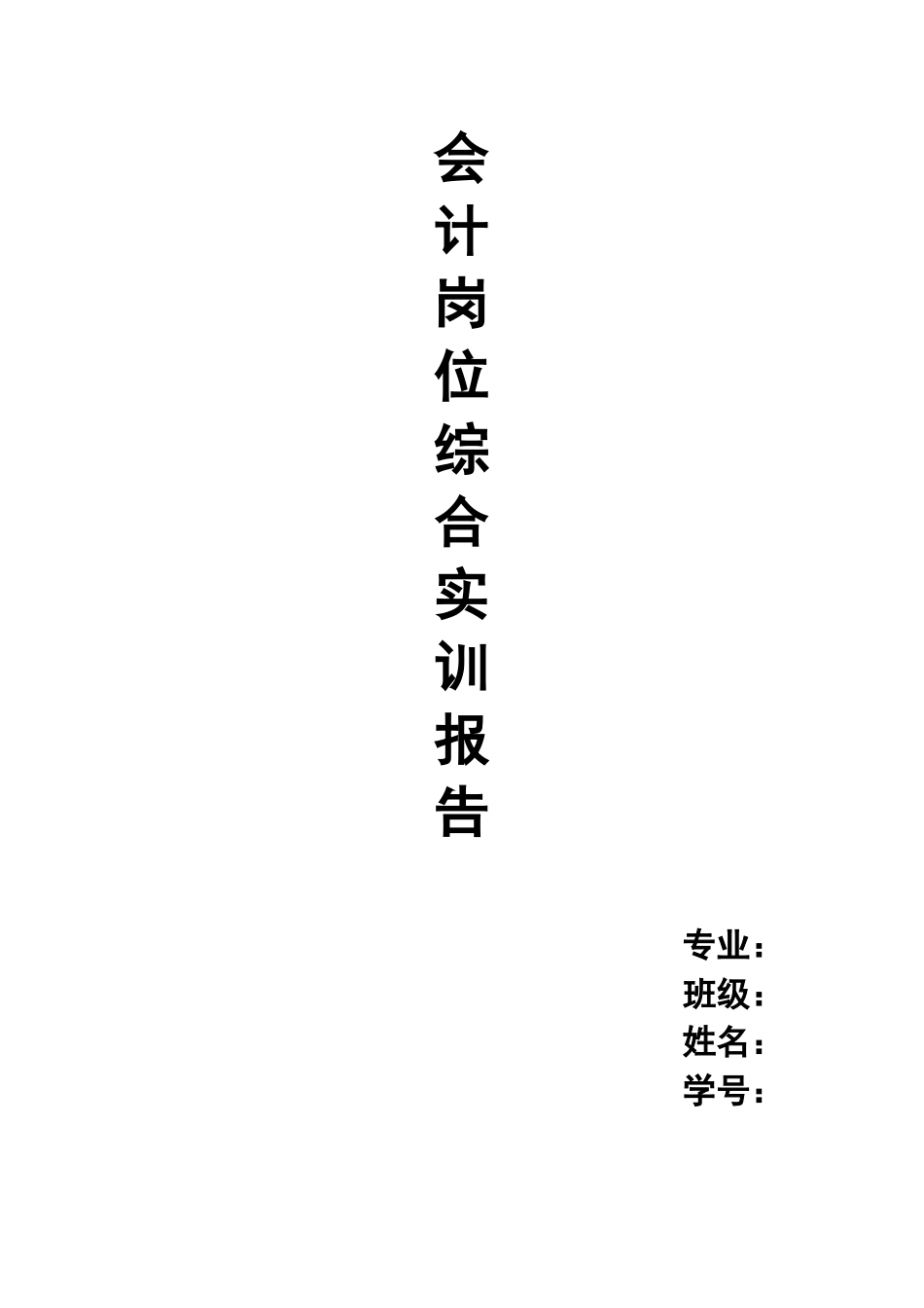 会计岗位综合实训报告_第1页