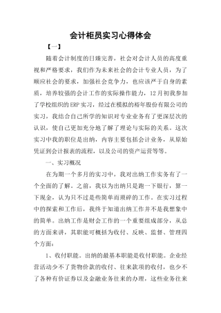 会计柜员实习心得体会