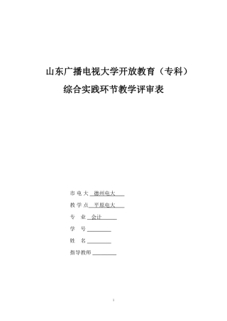 会计调查报告(同名9051)