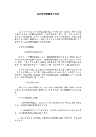 会计实训实践报告范文-总结报告模板
