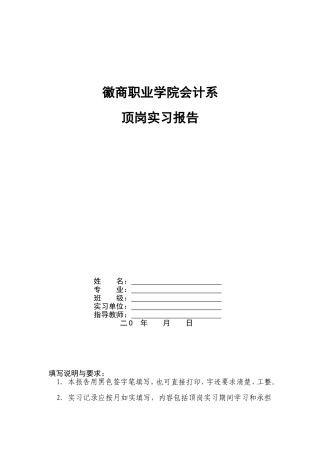 会计系毕业生顶岗实习报告