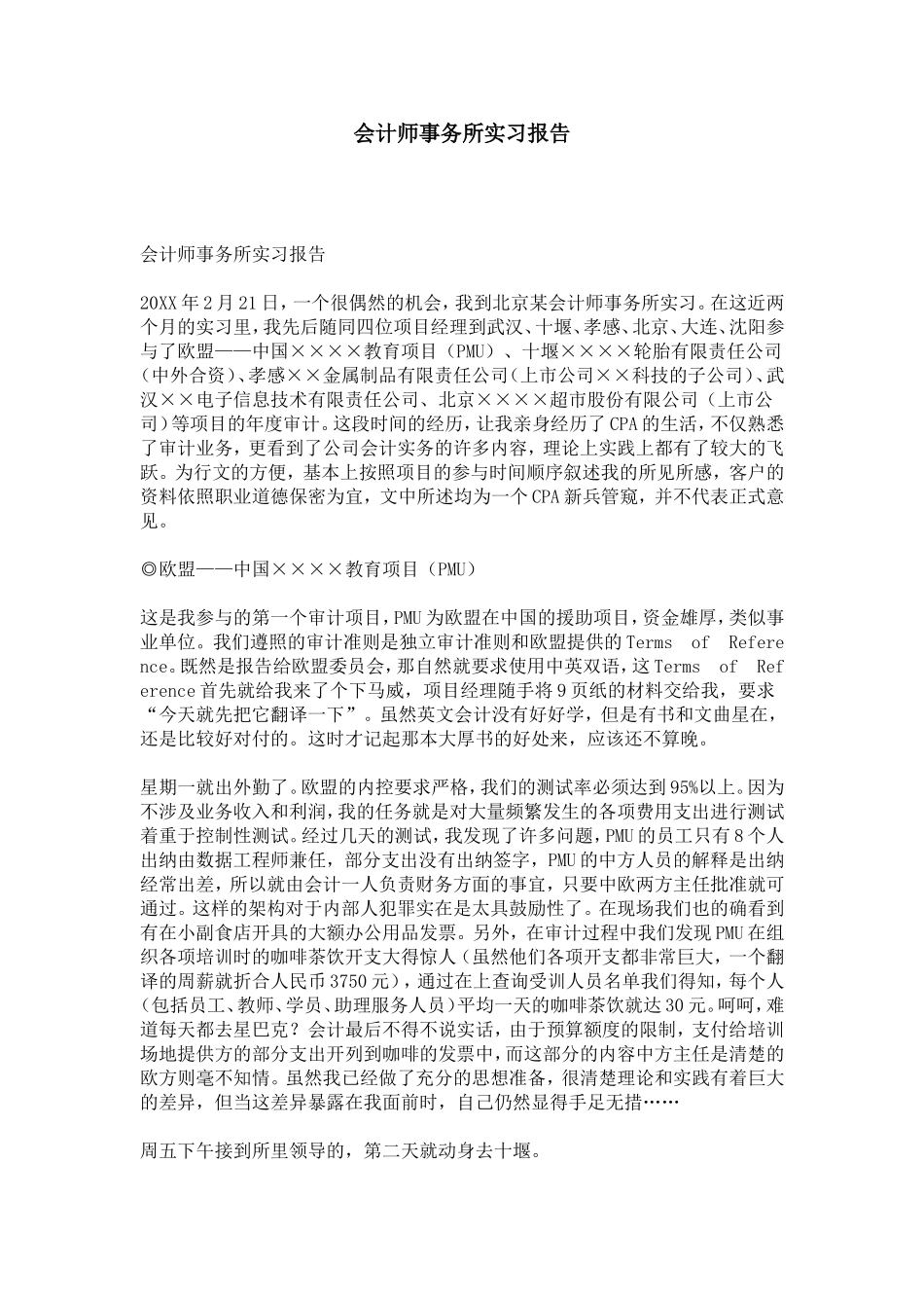 会计师事务所实习报告-总结报告模板-2_第1页