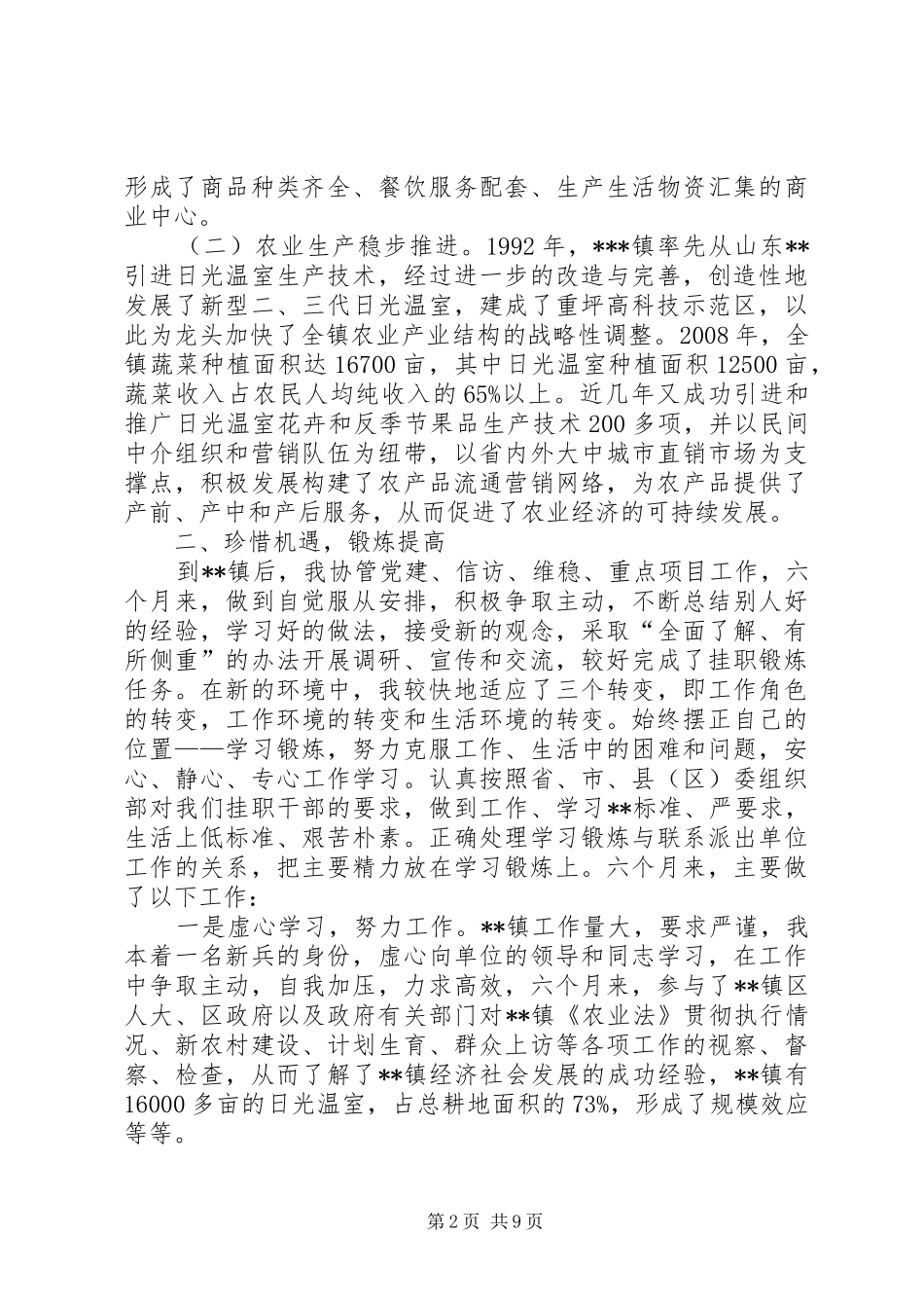 挂职镇党委副书记锻炼个人工作总结_第2页