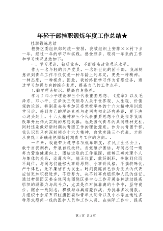 年轻干部挂职锻炼年度工作总结