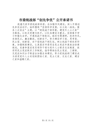 市委统战部创先争优公开承诺书