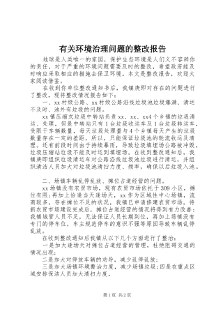 有关环境治理问题的整改报告