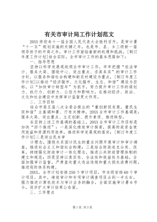 有关市审计局工作计划范文