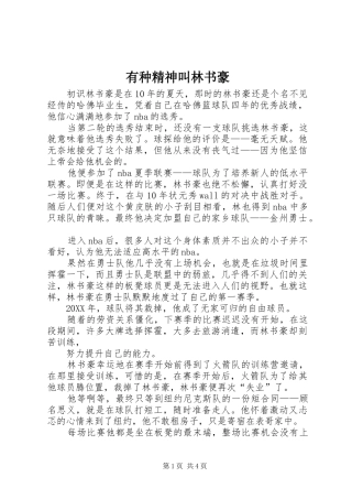 有种精神叫林书豪