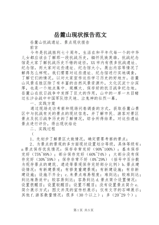 岳麓山现状报告范文