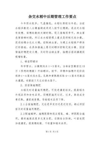杂交水稻中后期管理工作要点