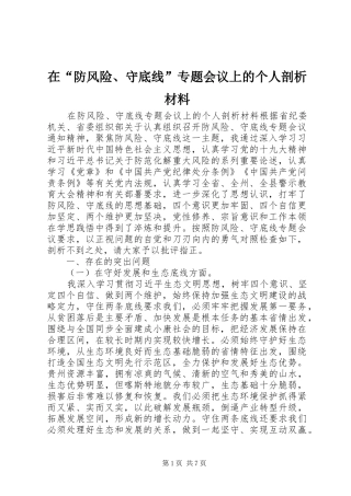 在防风险守底线专题会议上的个人剖析材料