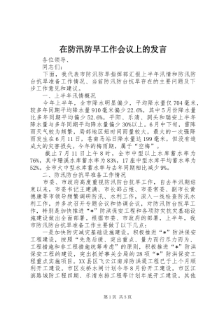 在防汛防旱工作会议上的发言