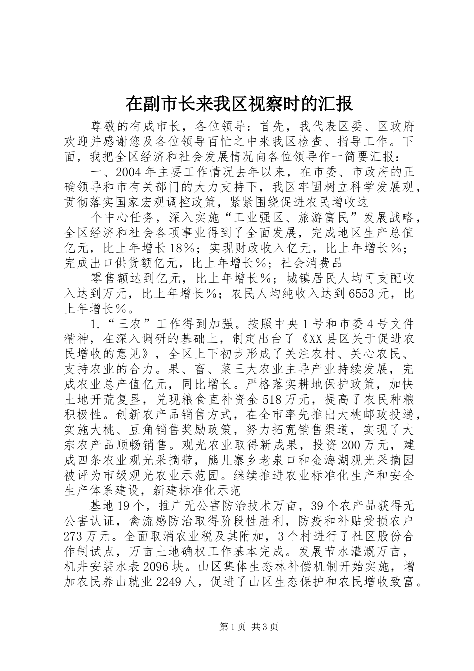 在副市长来我区视察时的汇报_第1页