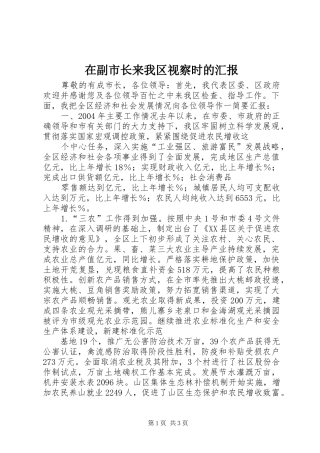 在副市长来我区视察时的汇报