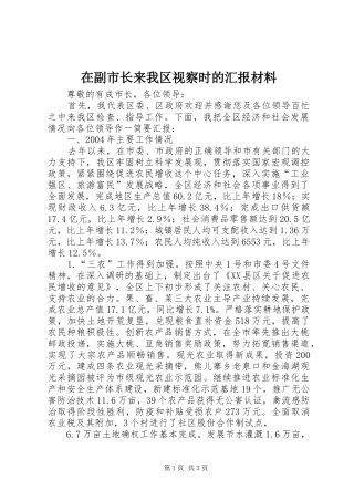 在副市长来我区视察时的汇报材料