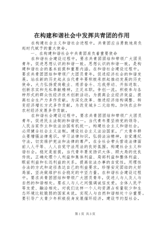 在构建和谐社会中发挥共青团的作用