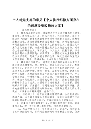 个人对党支部的意见个人执行纪律方面存在的问题及整改措施方案