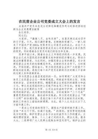 在民营企业公司党委成立大会上的讲话