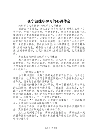 在宁波挂职学习的心得体会