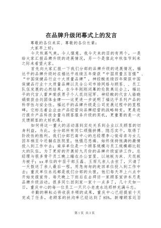 在品牌升级闭幕式上的讲话
