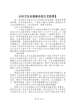 公共卫生自查报告范文优秀