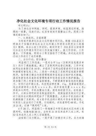 净化社会文化环境专项行动工作情况报告
