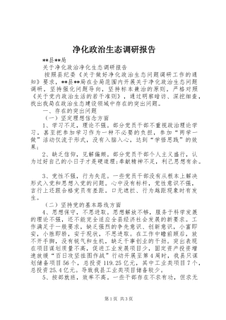 净化政治生态调研报告