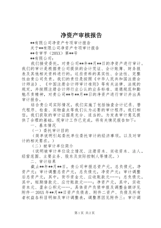 净资产审核报告