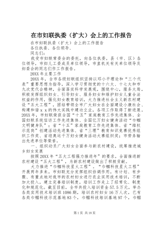 在市妇联执委会上的工作报告