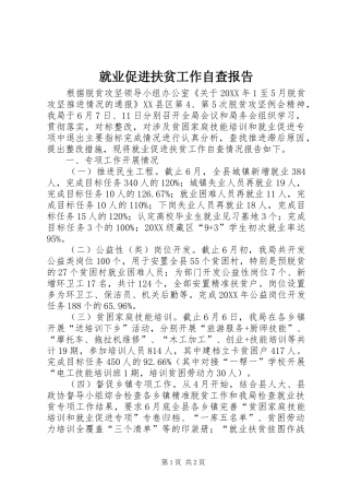 就业促进扶贫工作自查报告