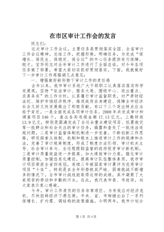 在市区审计工作会的讲话