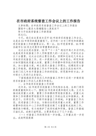 在市政府系统督查工作会议上的工作报告