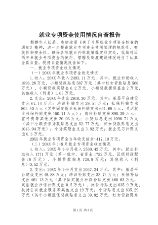 就业专项资金使用情况自查报告