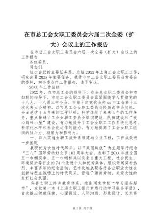 在市总工会女职工委员会六届二次全委会议上的工作报告