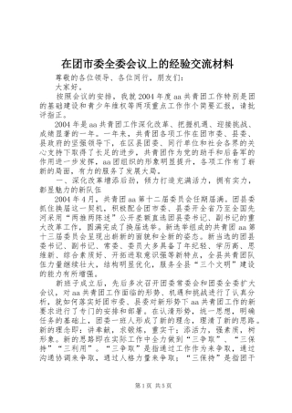 在团市委全委会议上的经验交流材料