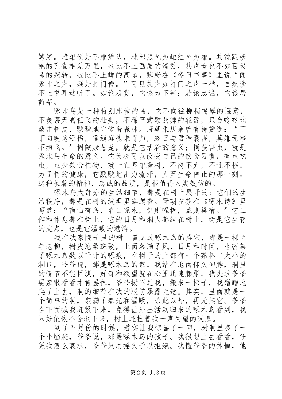 居树啄木笃笃响_第2页