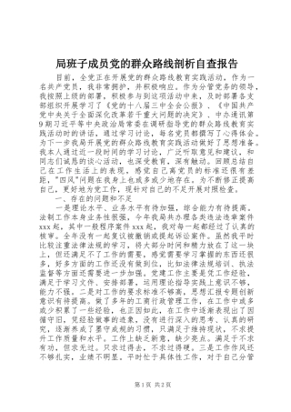 局班子成员党的群众路线剖析自查报告