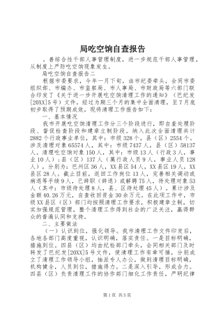 局吃空饷自查报告