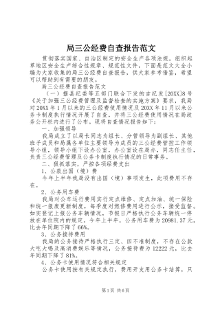 局三公经费自查报告范文