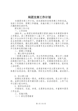 局团支部工作计划