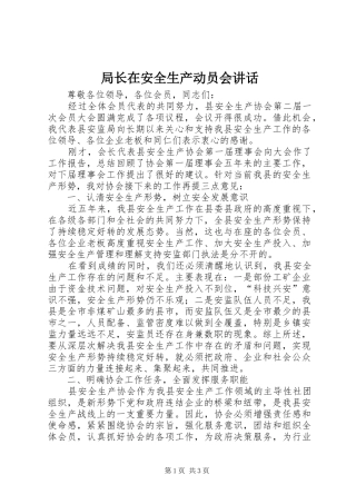 局长在安全生产动员会致辞